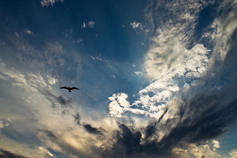 I'm free by Simurgh
