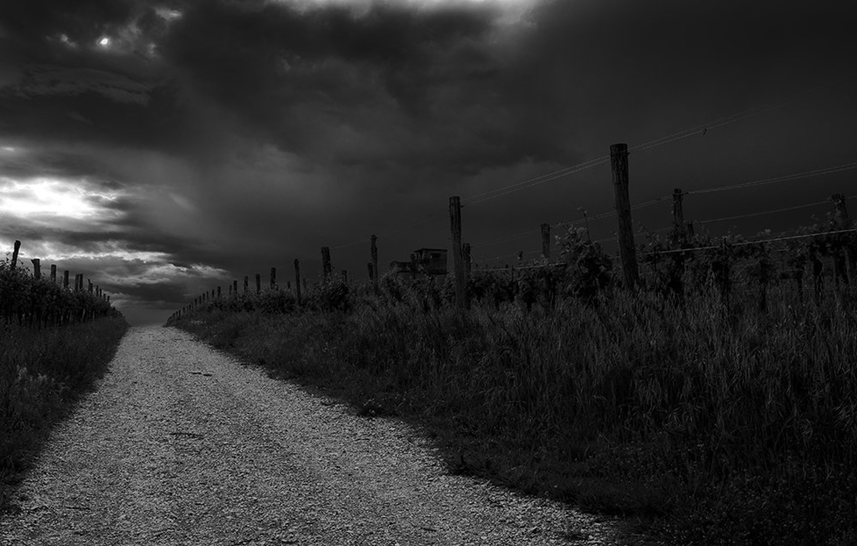 Darkness is coming by Simurgh