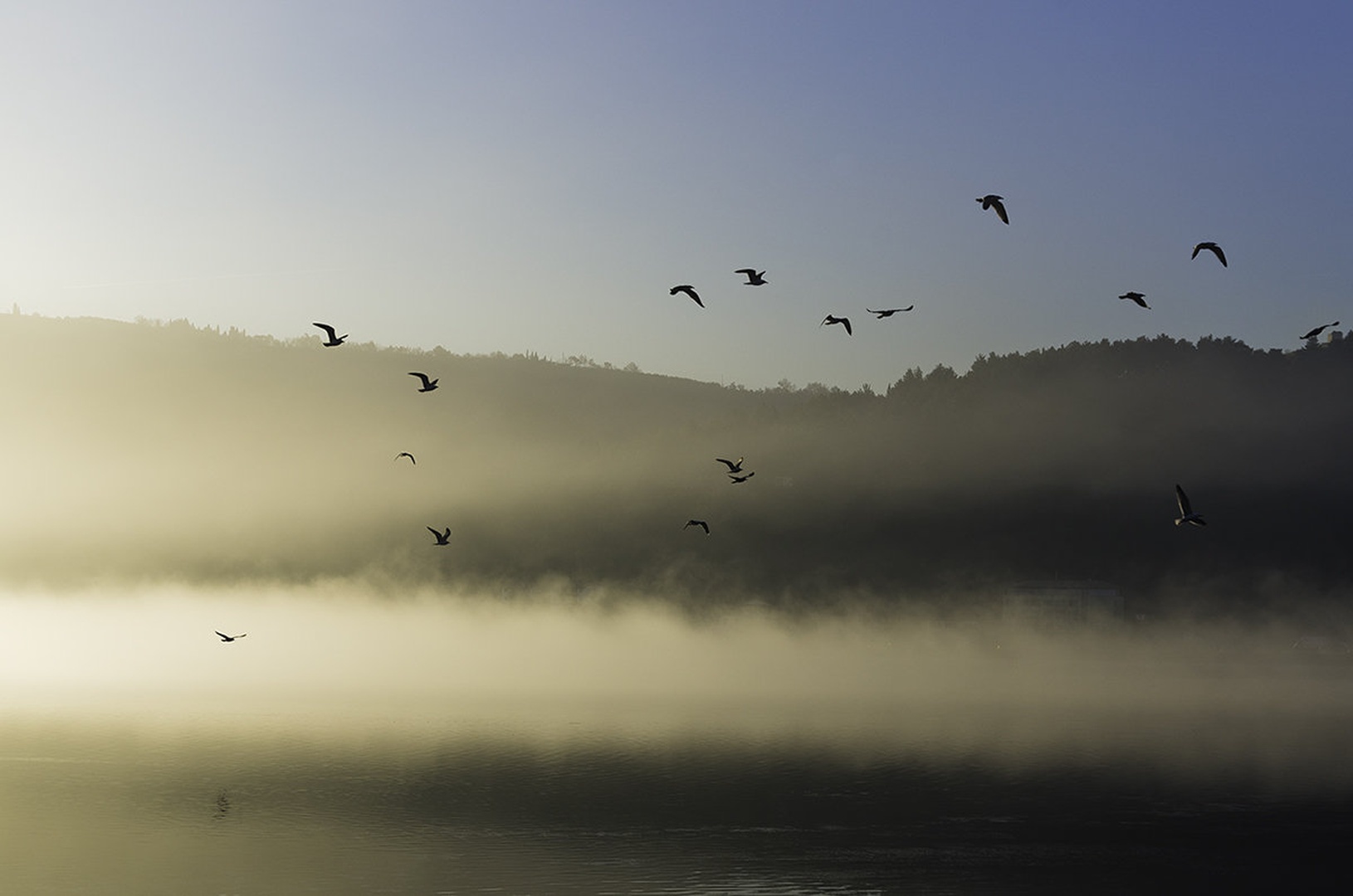 Megelno mrzlo jutro by Simurgh