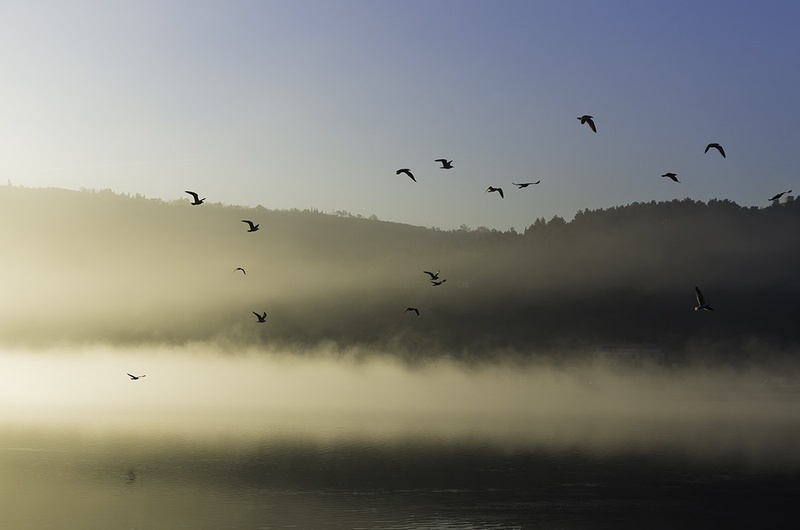 Megelno mrzlo jutro by Simurgh