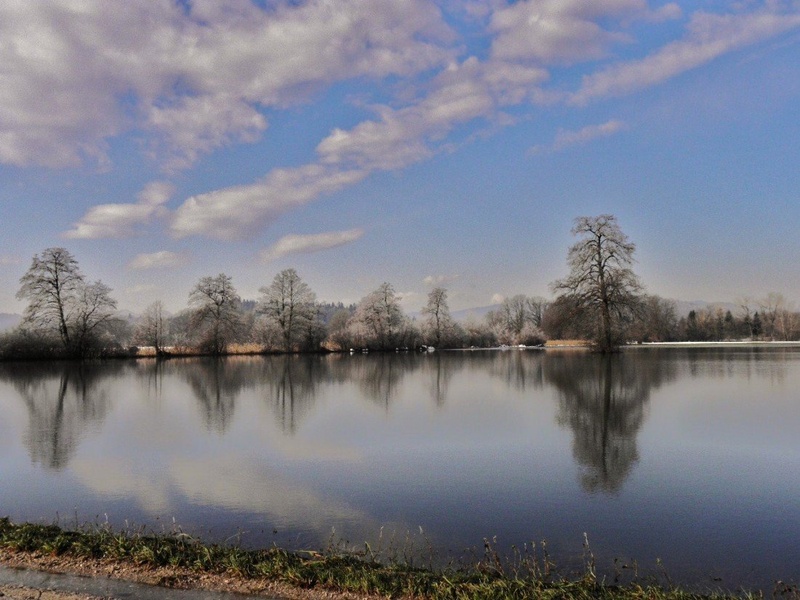 Barje pozimi by Ruddolf