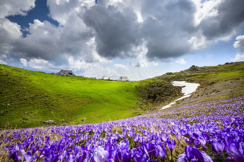 Velika planina by Anže Mulec