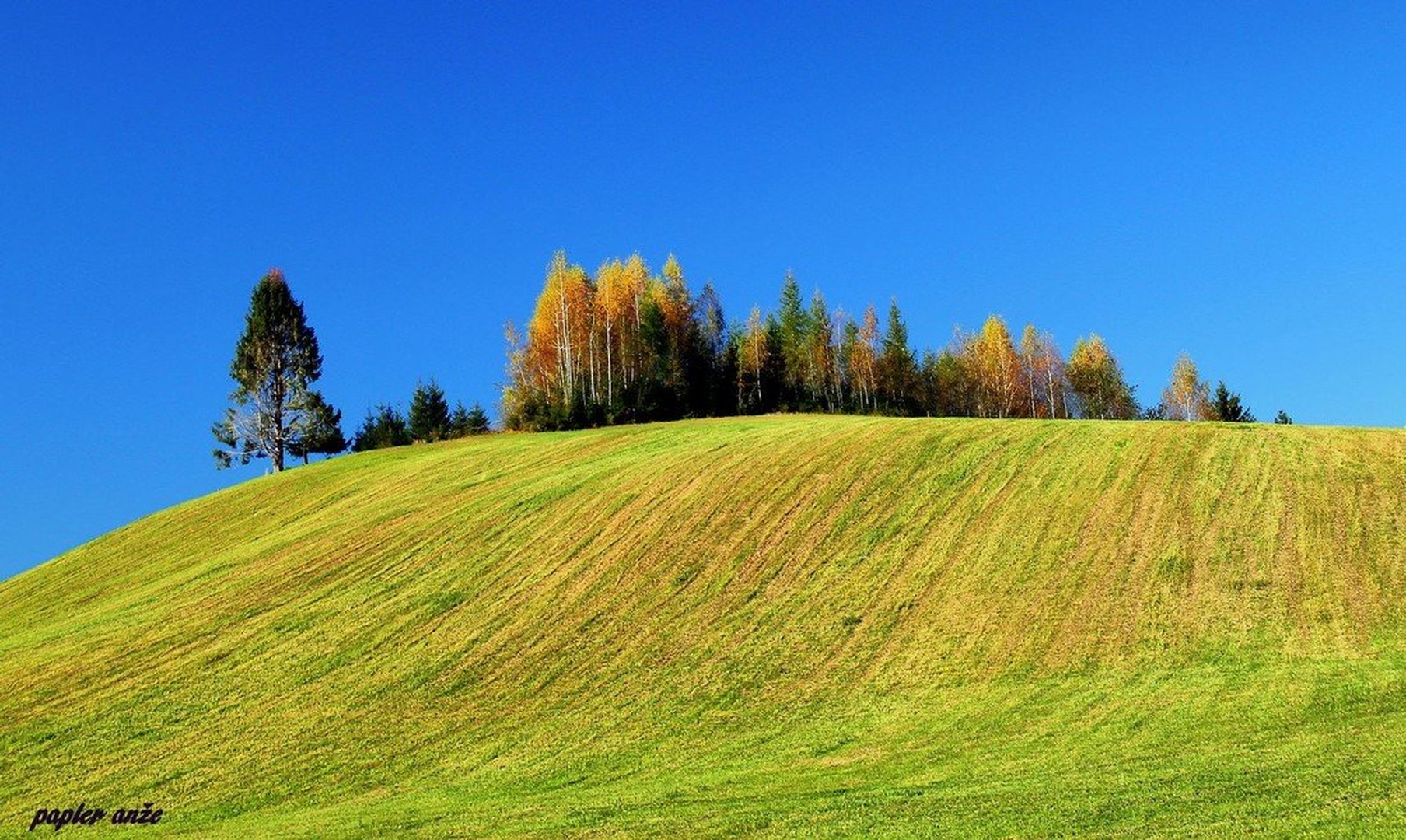 na vrhu griča by anže papler