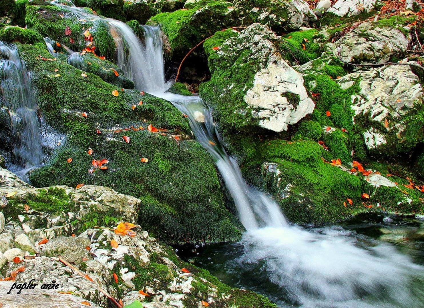 potoček by anže papler