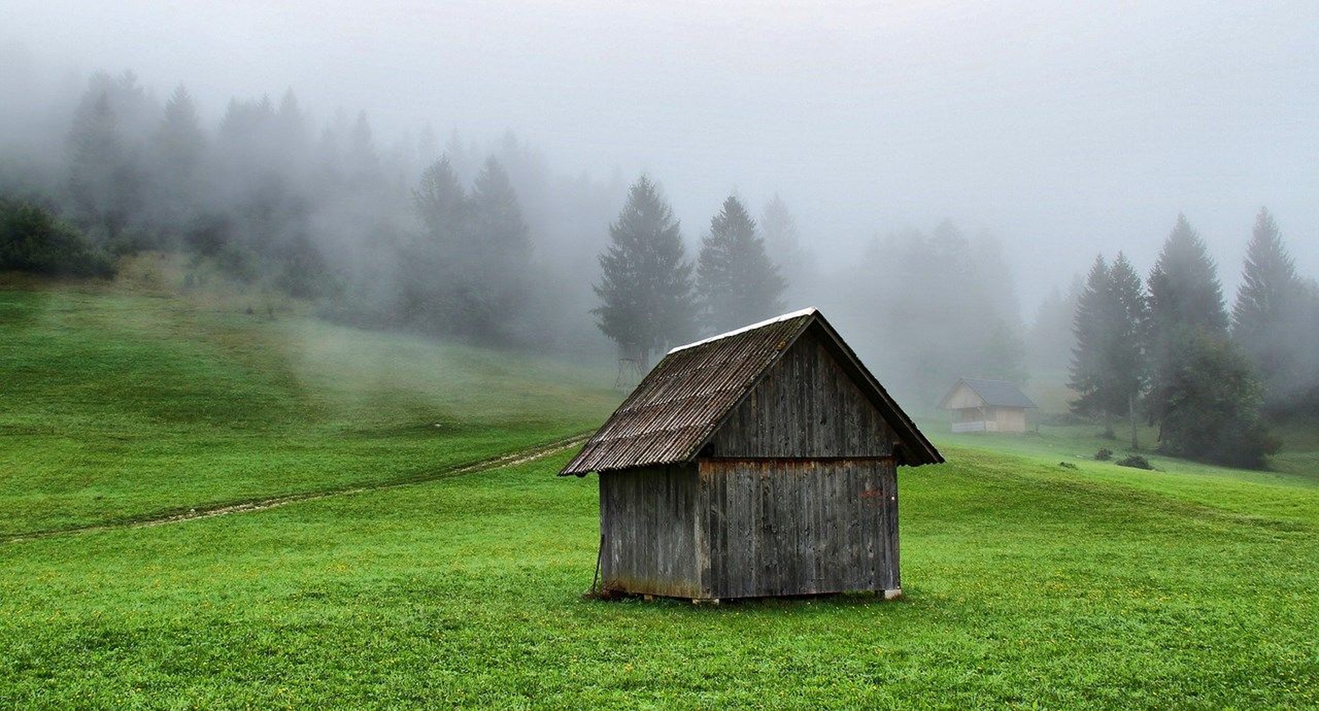 rano jutro by anže papler
