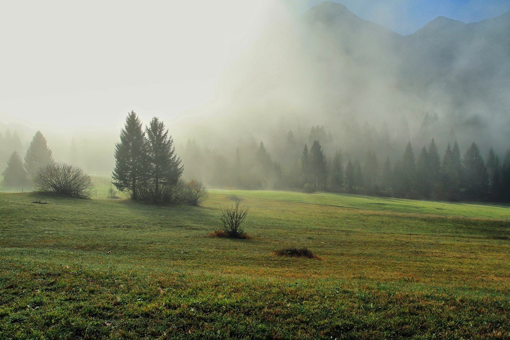 čarobno megleno jutro by anže papler