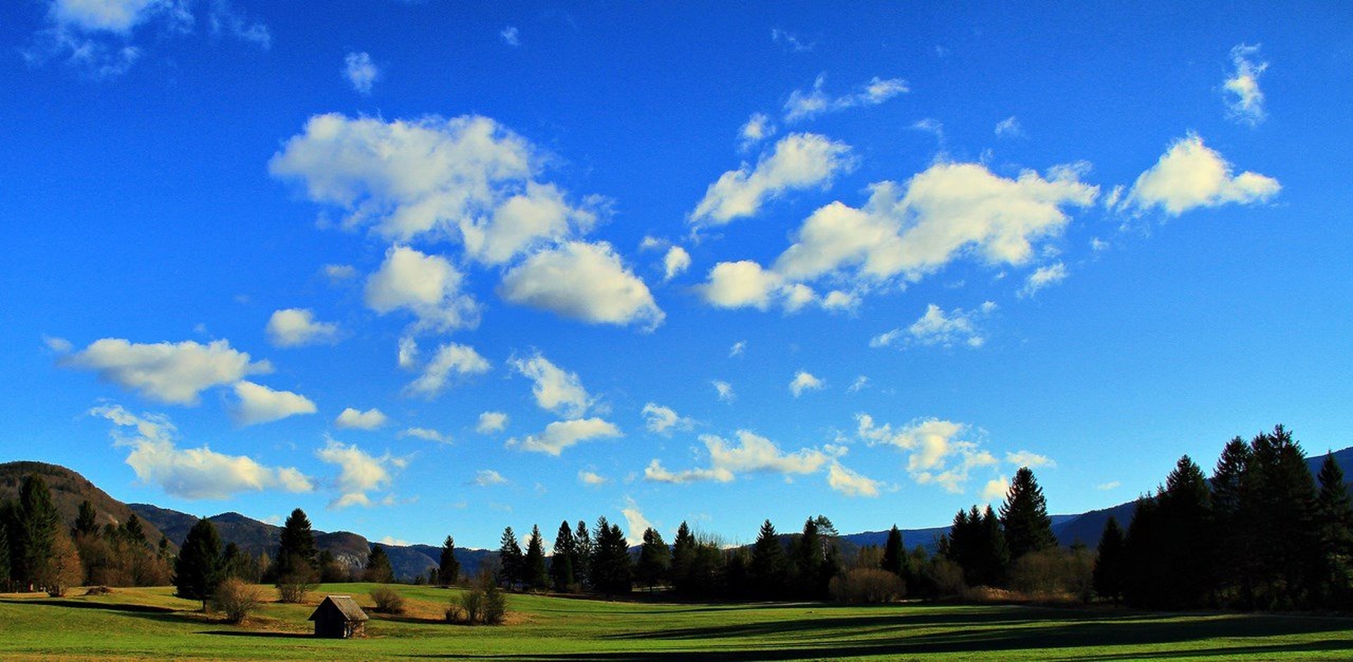 under the blue sky by anže papler