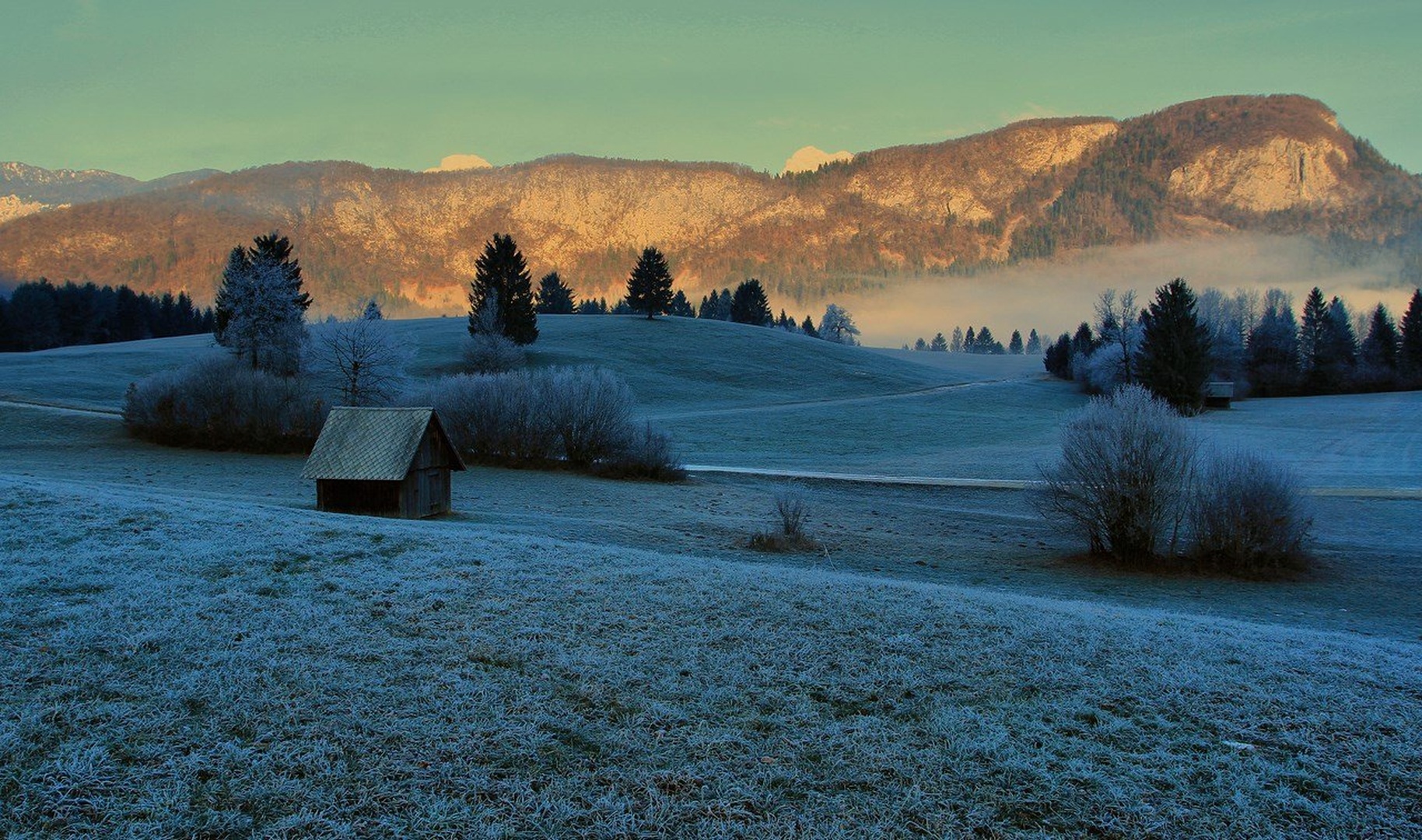 hladno jutro by anže papler