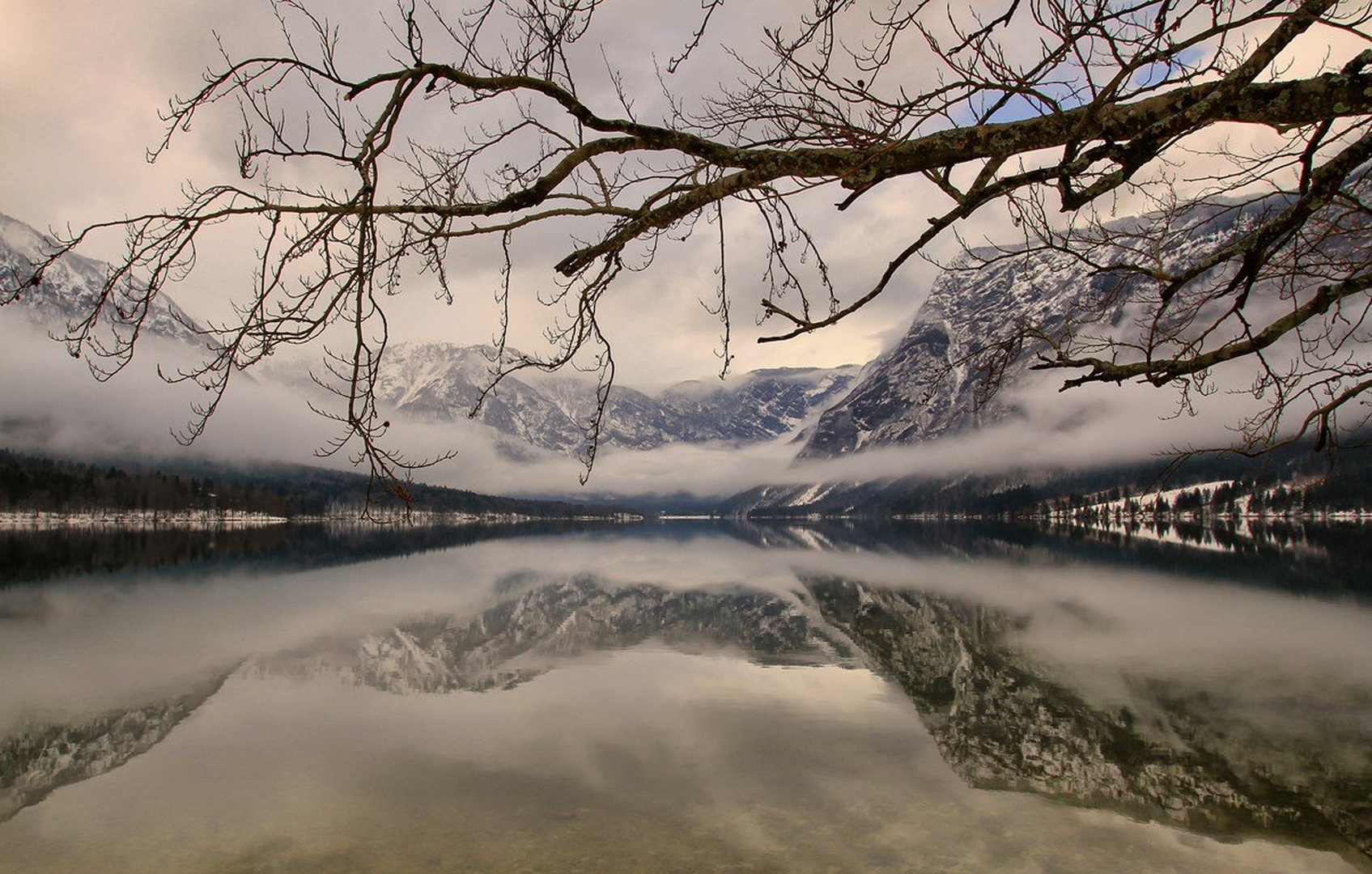 turobno jutro by anže papler