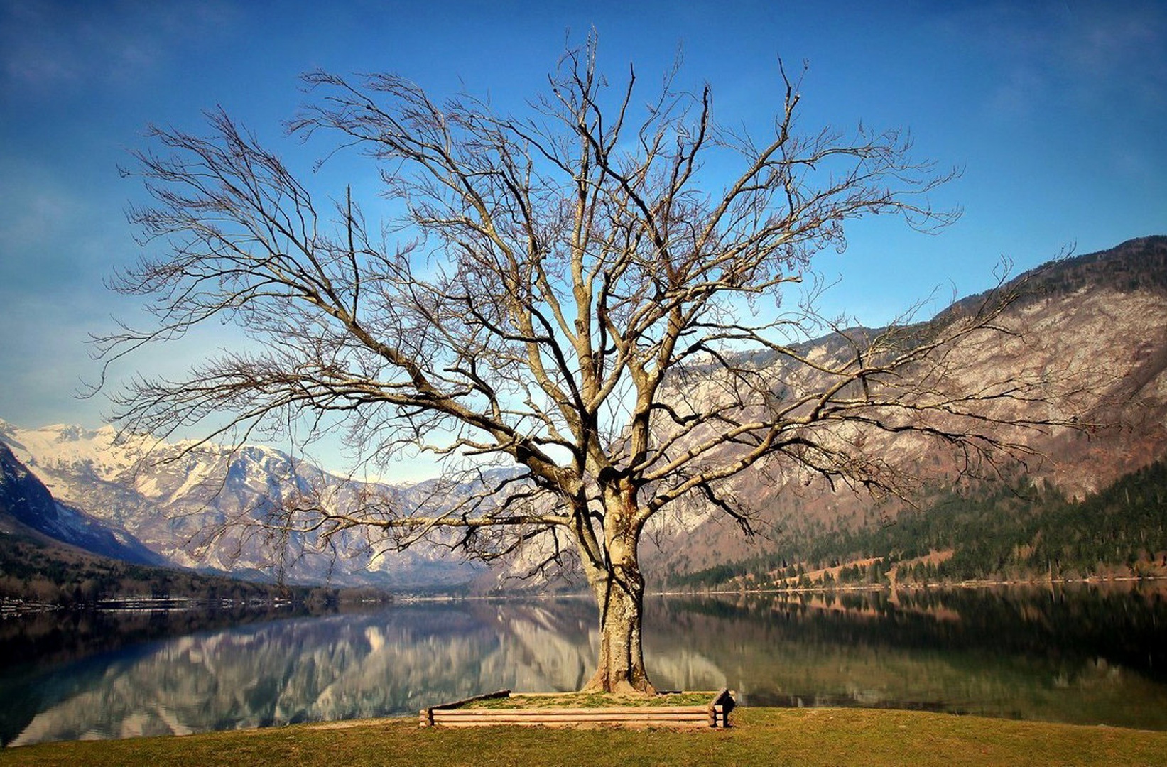 spokojnost by anže papler