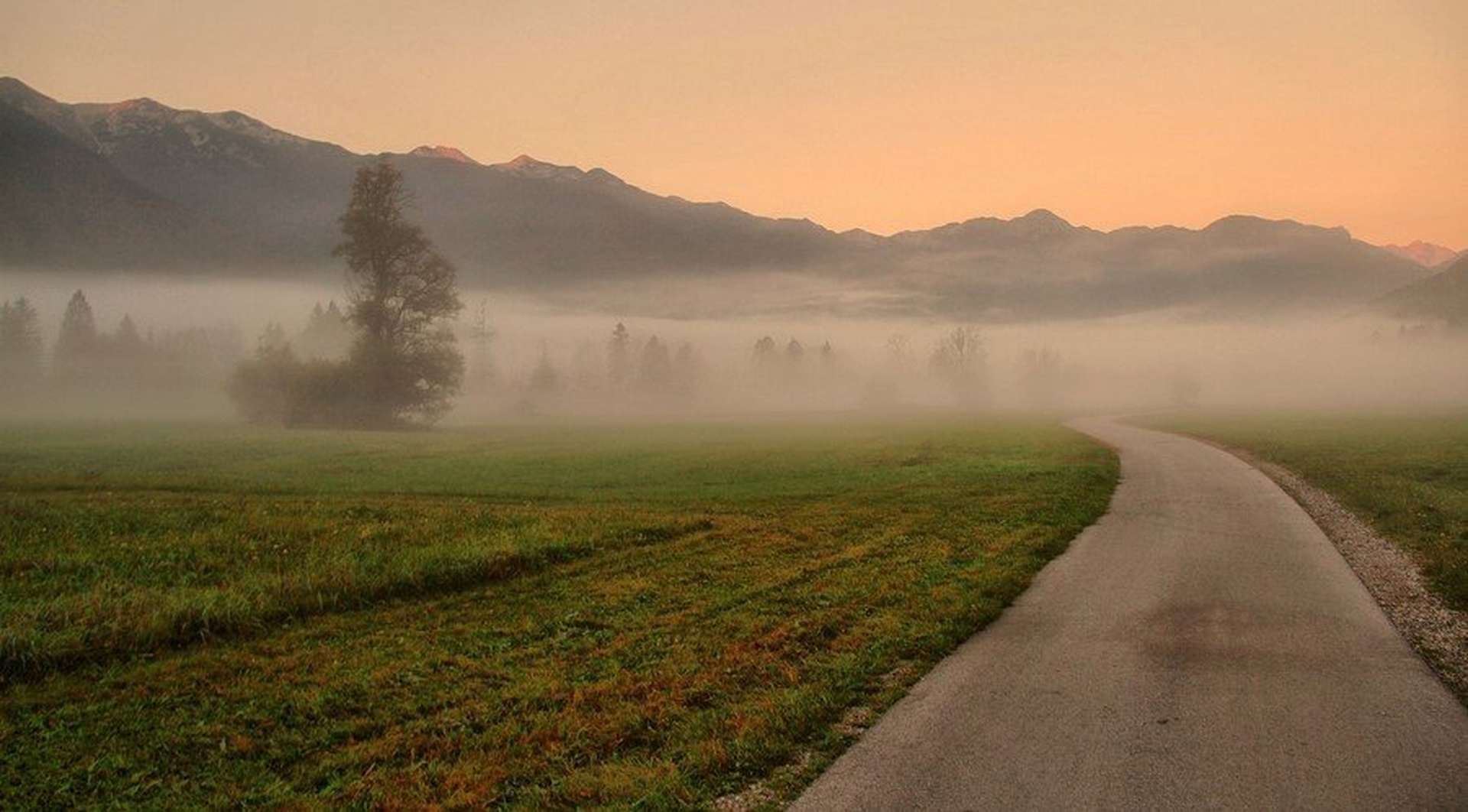 v novo jutro by anže papler