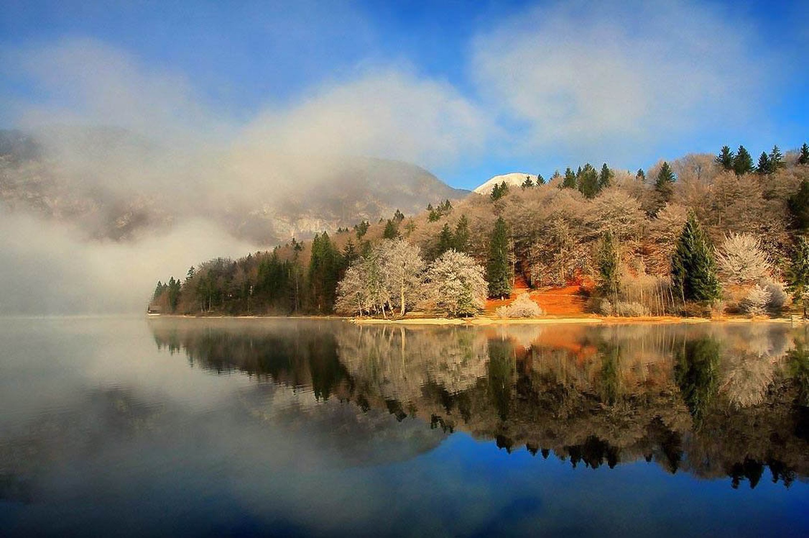 hladno jutro by anže papler