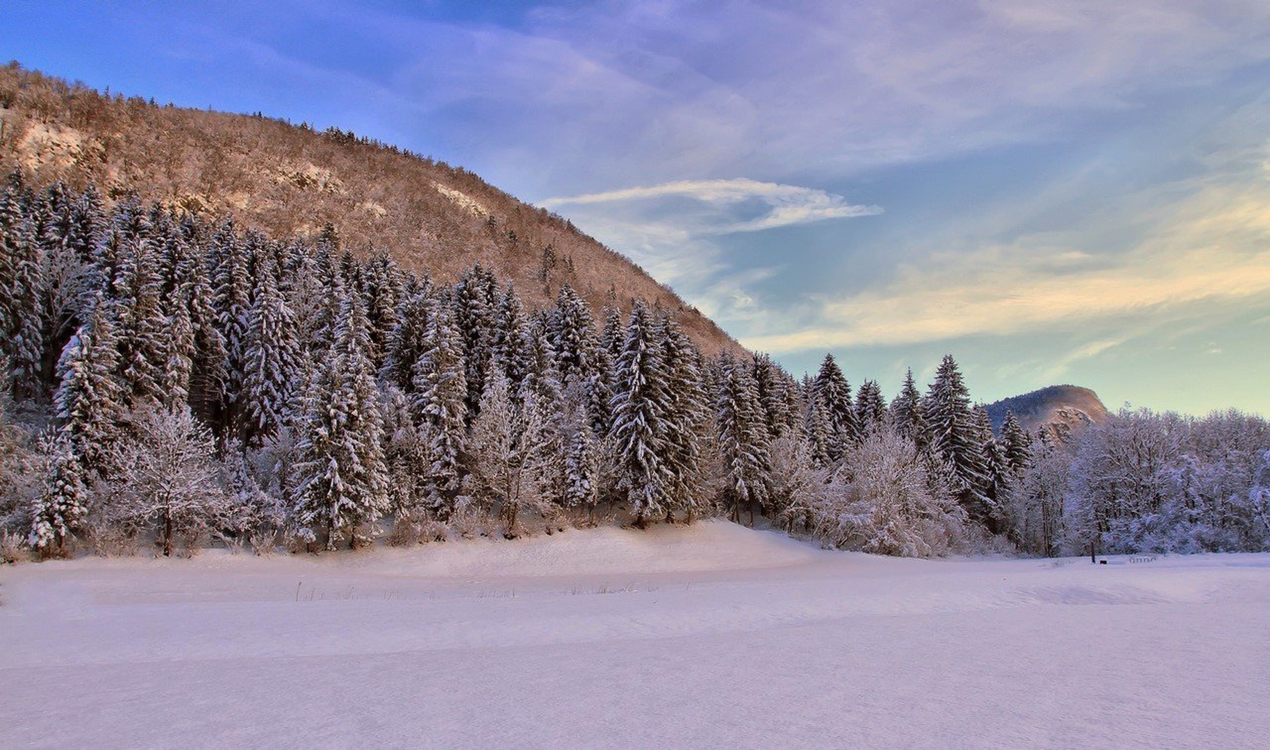 zasnežena pokrajina by anže papler