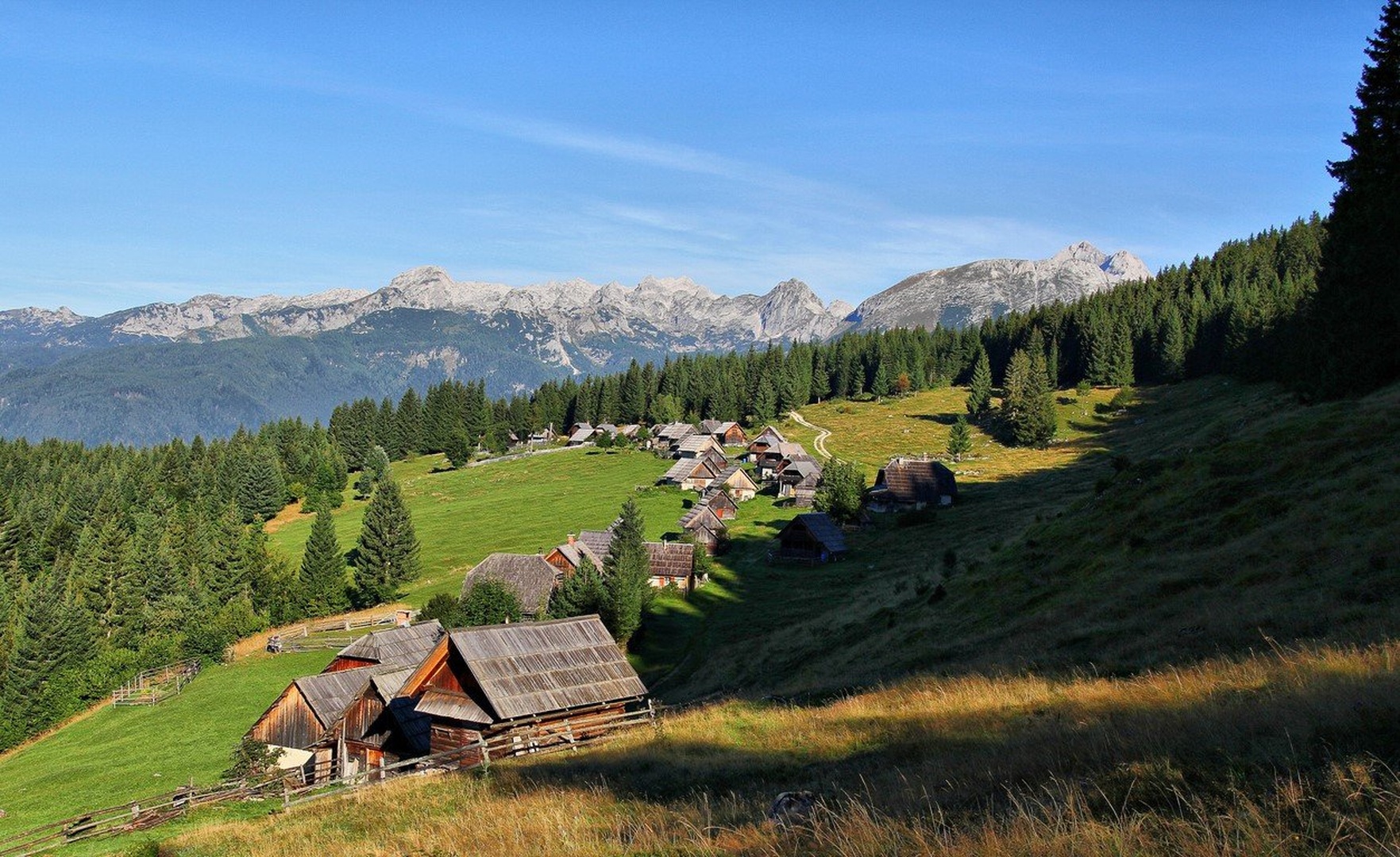 Zajamniki by anže papler