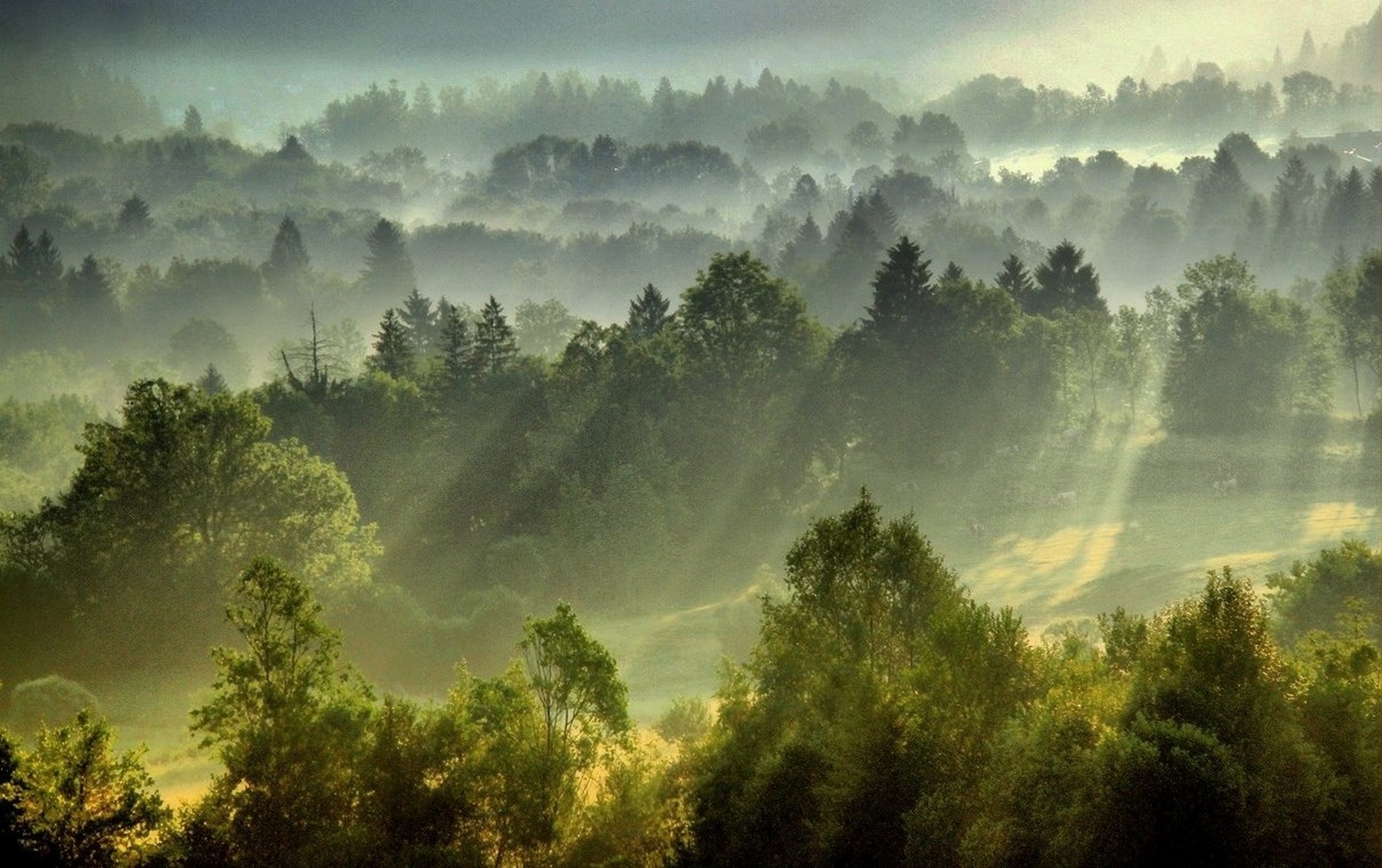 Igra jutranje svetlobe by anže papler