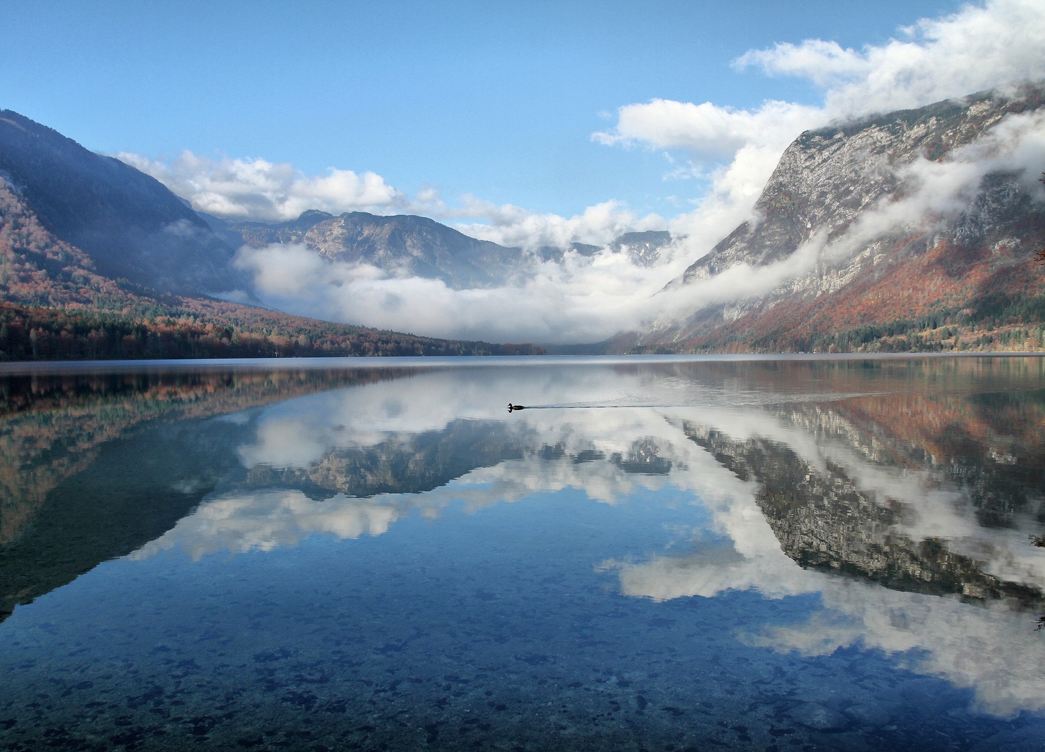tranquil morning by anže papler