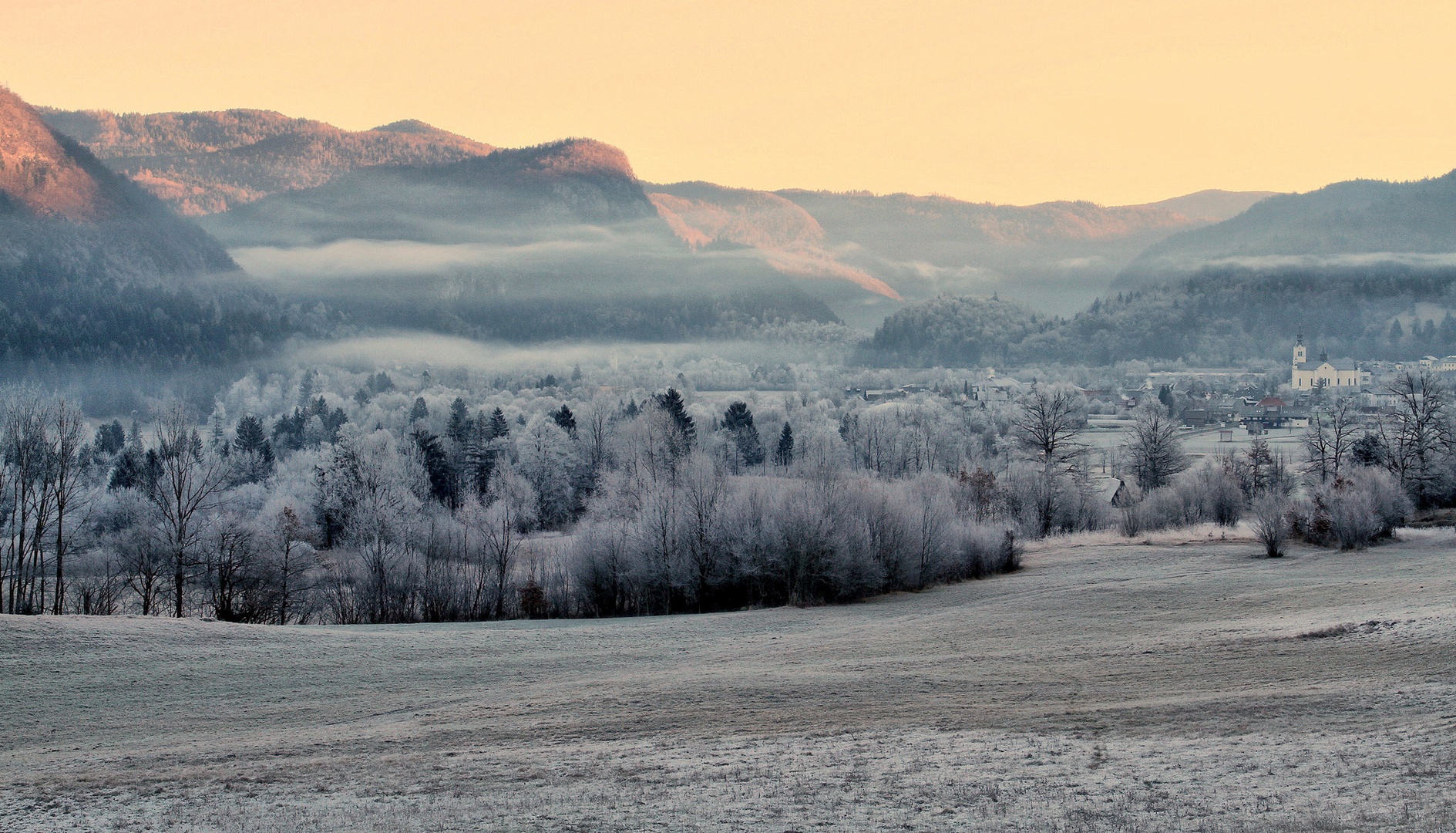 frozen by anže papler