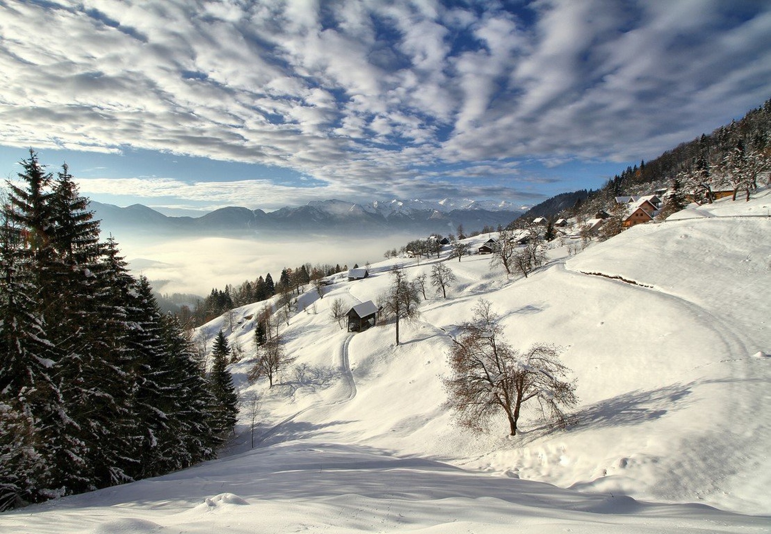 Zimska pravljica by anže papler