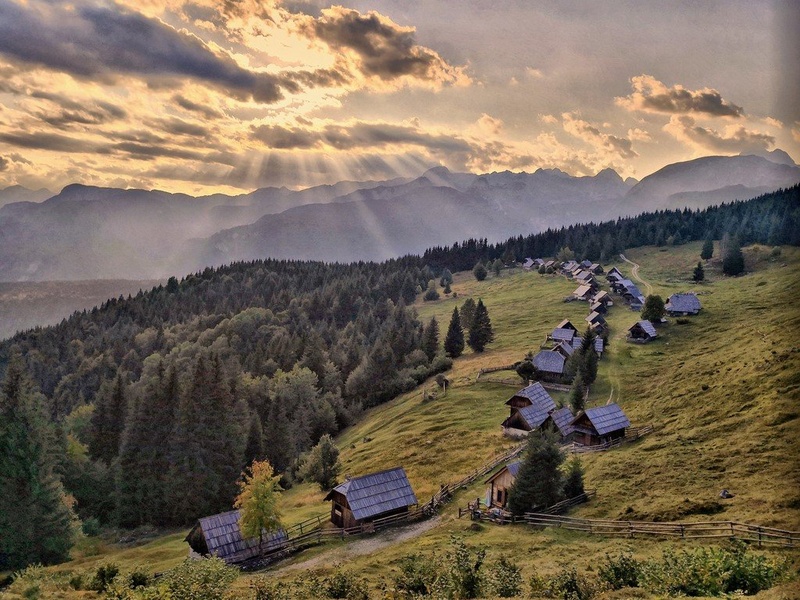 Zajamniki by anže papler