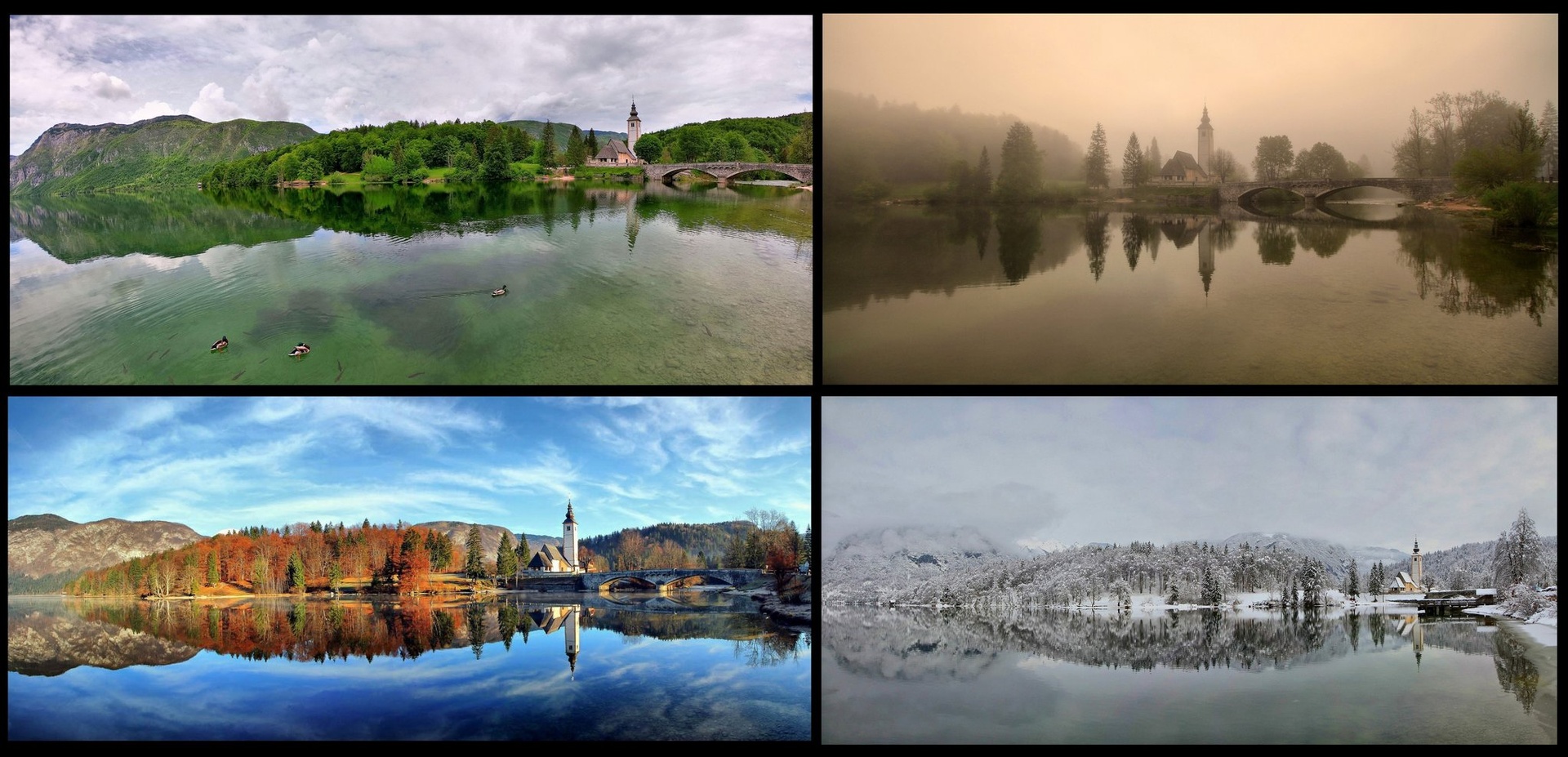 Seasons by anže papler