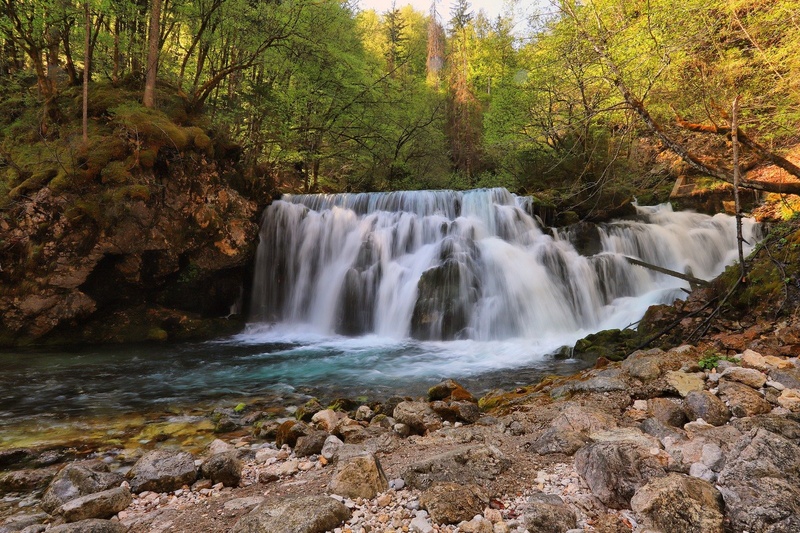 Izvir Bistrice by anže papler