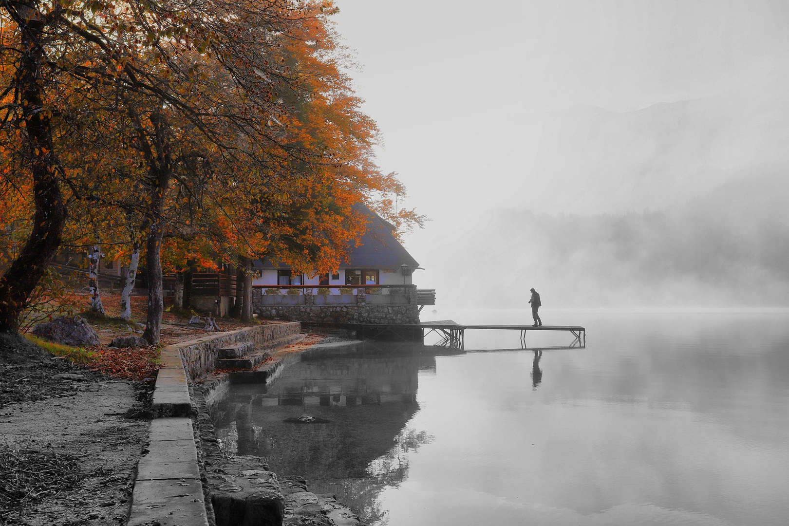 Fotograf by anže papler