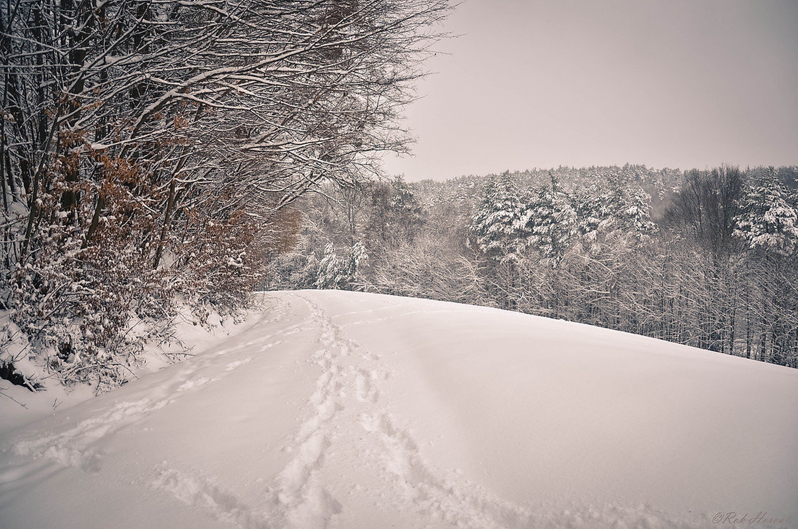 Zima by Rok Horvat