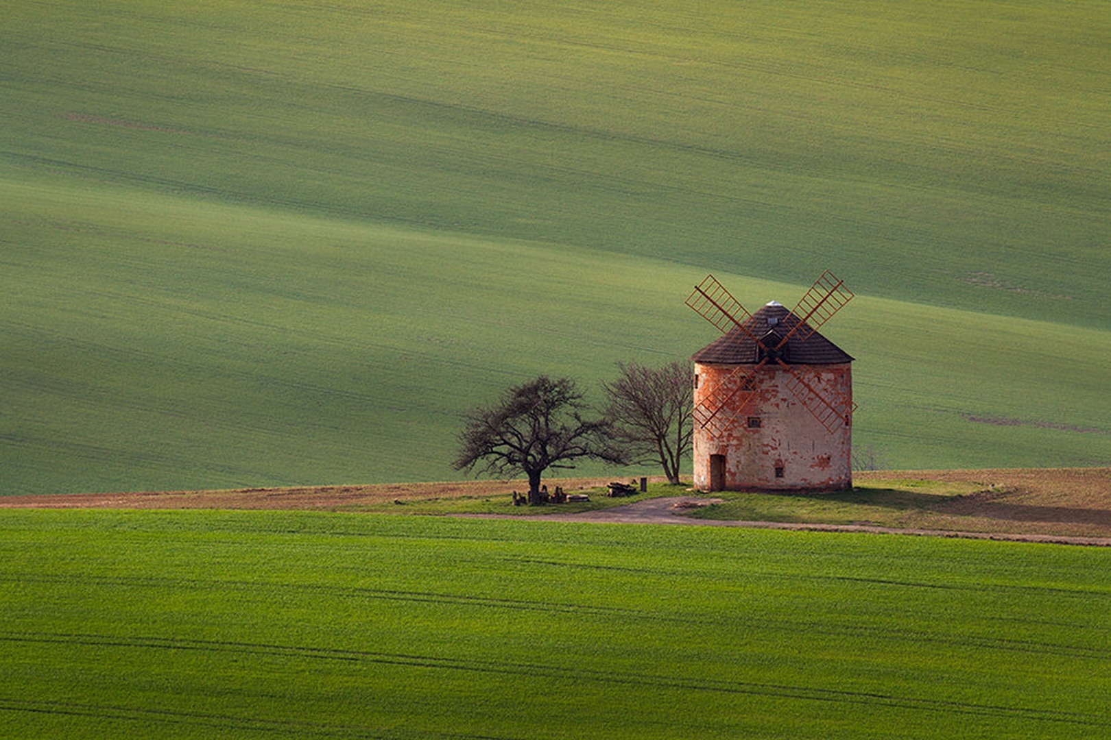 Enjoy the silence by Piotr Skrzypiec
