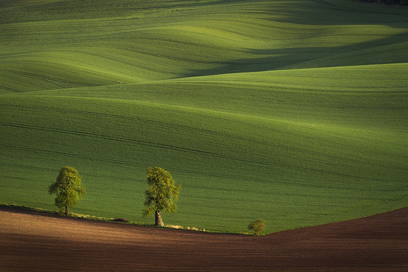 Večerna tišina by Piotr Skrzypiec