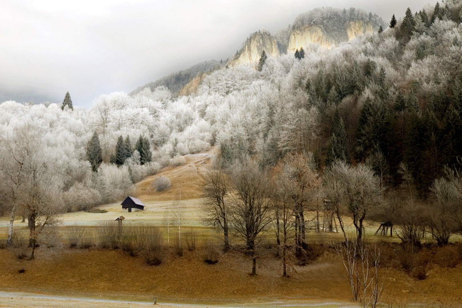 blaščeve skale by