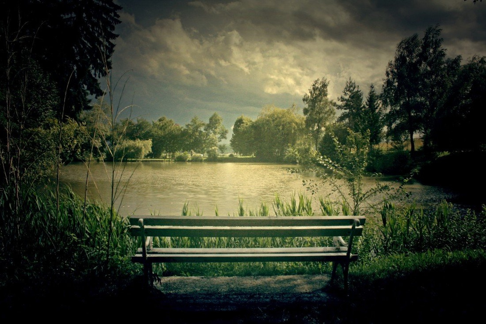 The Bench by Tina