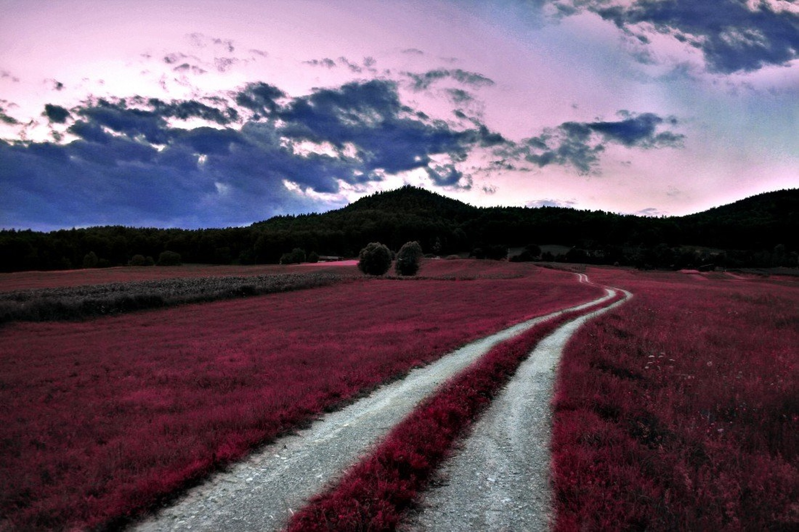 Road To Fantasy Land by Tina
