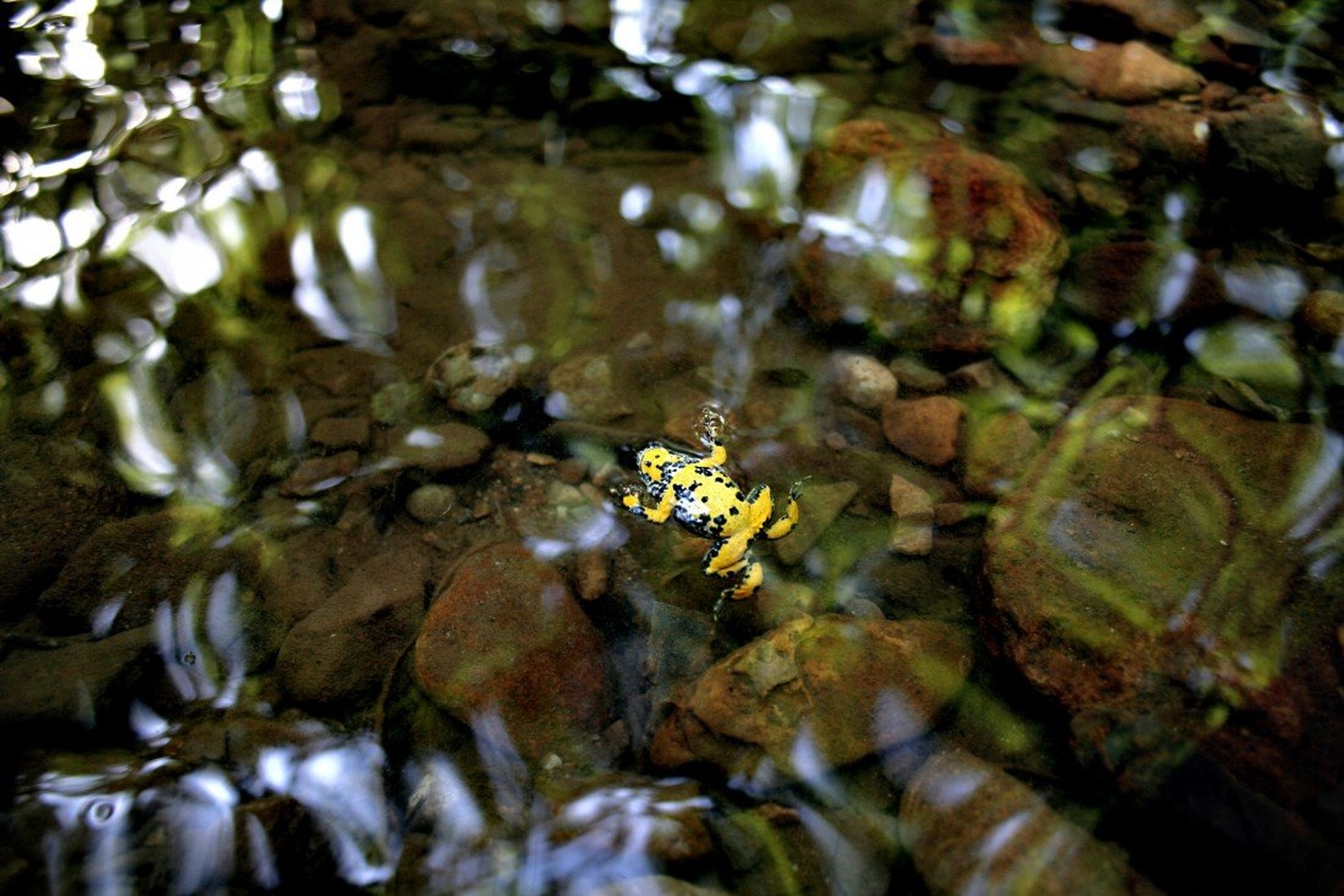 Flowing With Water by Tina