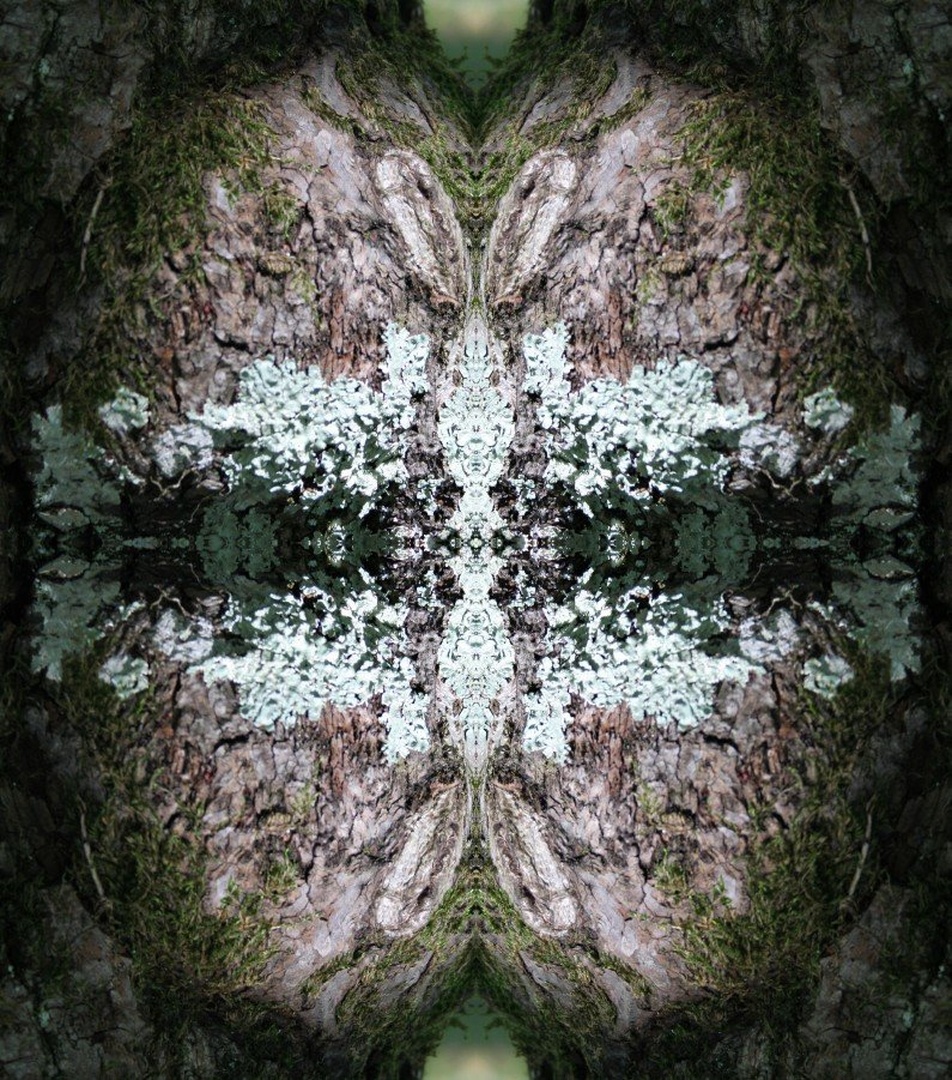 TreeSpirit. by Tina