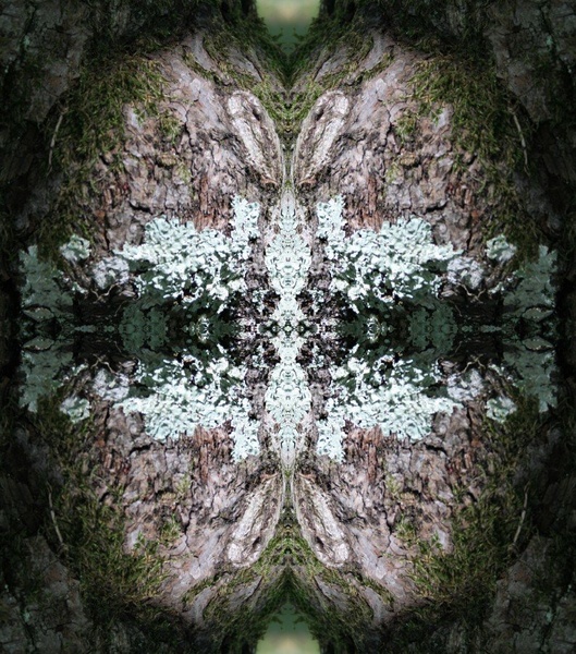 TreeSpirit. by Tina