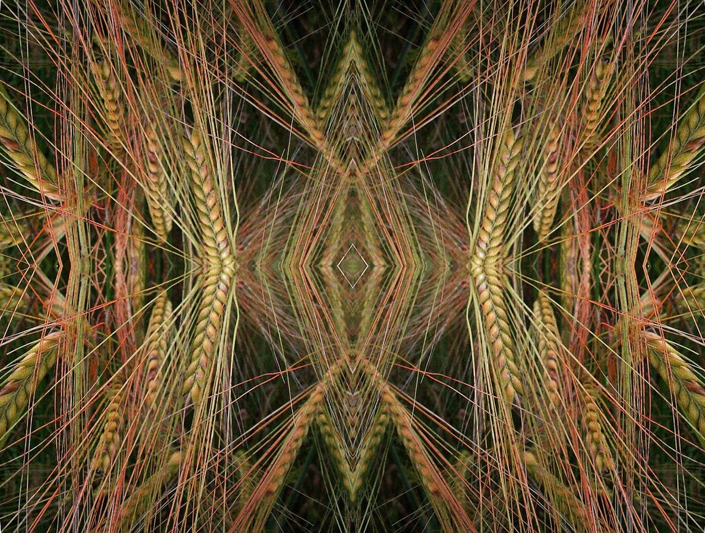 Sacred Frequency by Tina
