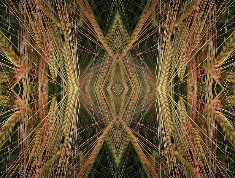 Sacred Frequency by Tina
