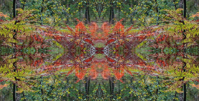 Pure Infinity. by Tina