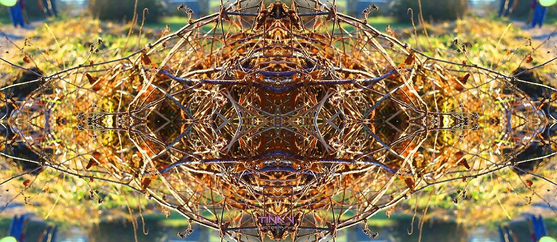 NatureBeings by Tina