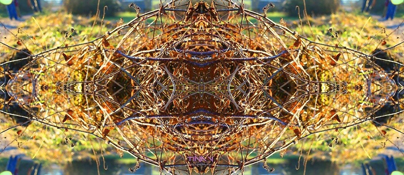 NatureBeings by Tina