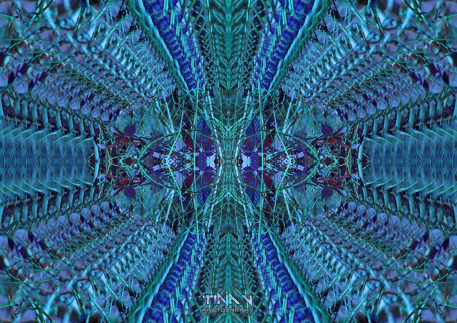 Infinity by Tina