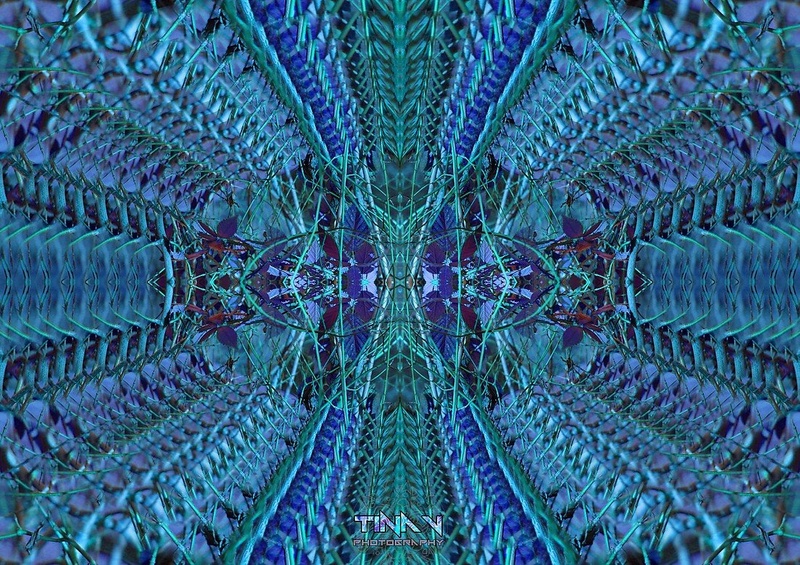 Infinity by Tina