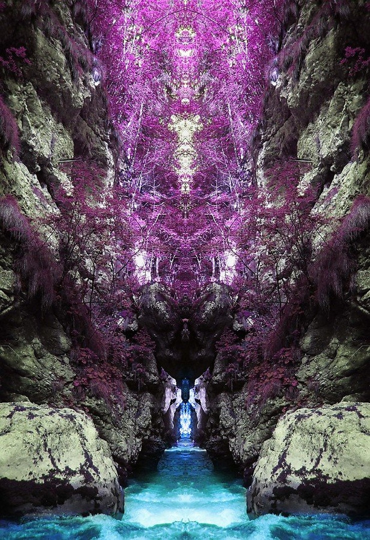 Journey To The Land Of Wonders by Tina
