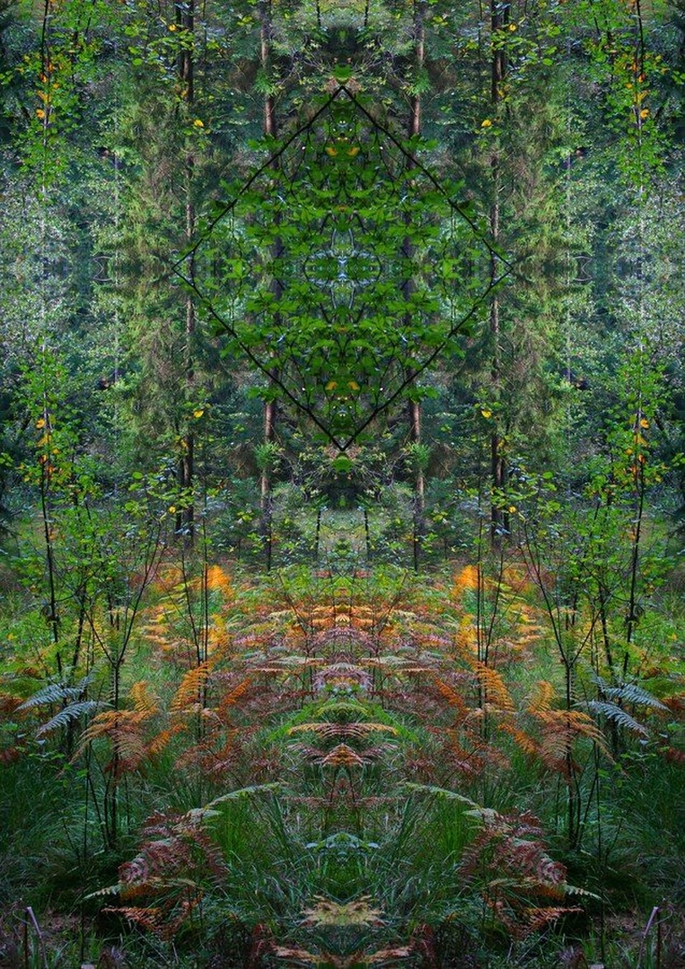 Sacred Path. by Tina