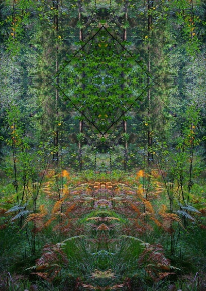 Sacred Path. by Tina