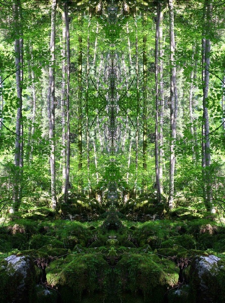 Green Vision by Tina
