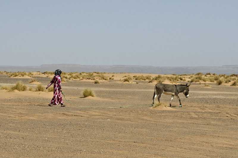 life in morocco2 by Natalija Šahraj