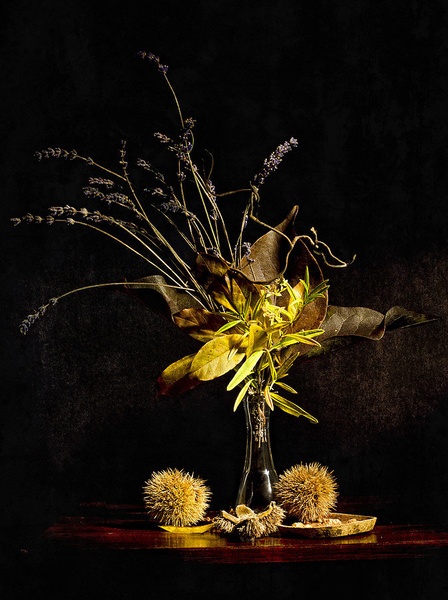 Autumn still life by Natalija Šahraj