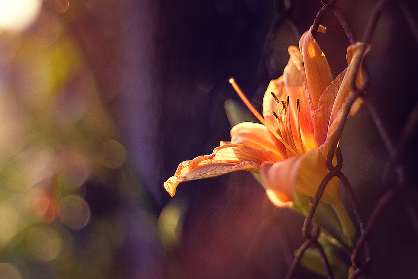 Reaching out by Nuša
