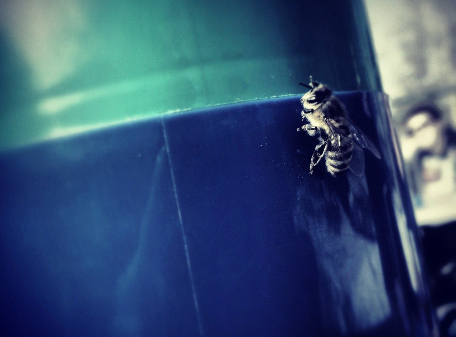 Bzzzz by Urban Bradeško